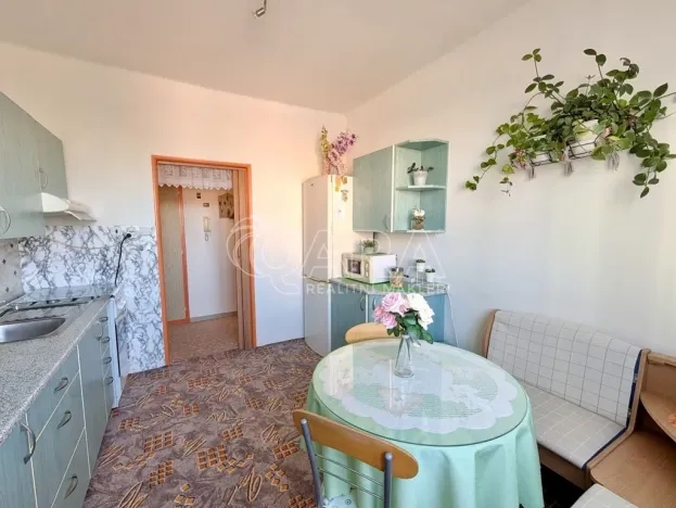 Prodej bytu 2+1, Přeštice, Červenkova, 64 m2