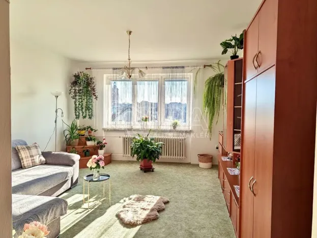 Prodej bytu 2+1, Přeštice, Červenkova, 64 m2