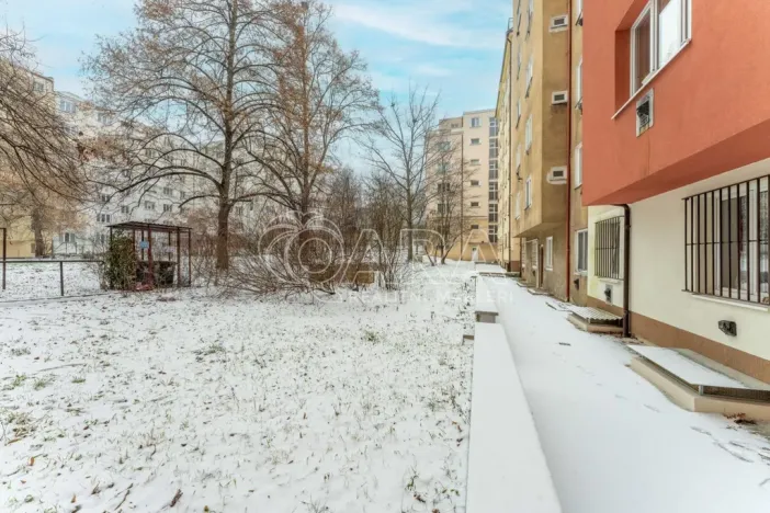 Prodej bytu 2+kk, Praha - Žižkov, Biskupcova, 47 m2