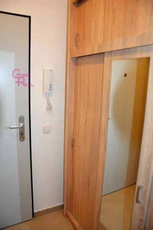 Pronájem bytu 1+kk, Brno, Kollárova, 27 m2