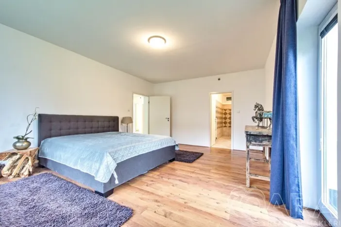 Pronájem rodinného domu, Dolní Břežany, V Úvozu, 380 m2