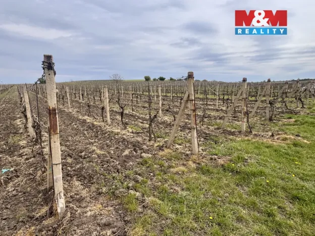 Prodej pole, Velké Bílovice, 3600 m2