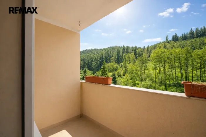 Prodej bytu 3+1, Březová, Hamerská, 63 m2