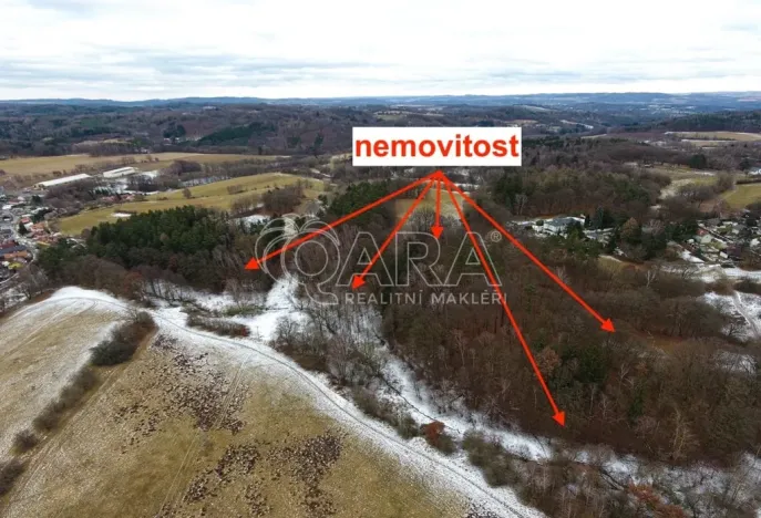 Prodej lesa, Velké Popovice, 19731 m2