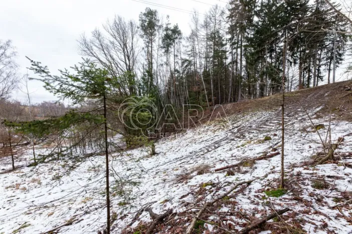 Prodej lesa, Velké Popovice, 19731 m2