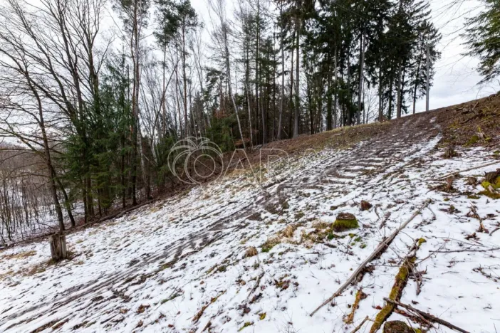 Prodej lesa, Velké Popovice, 19731 m2