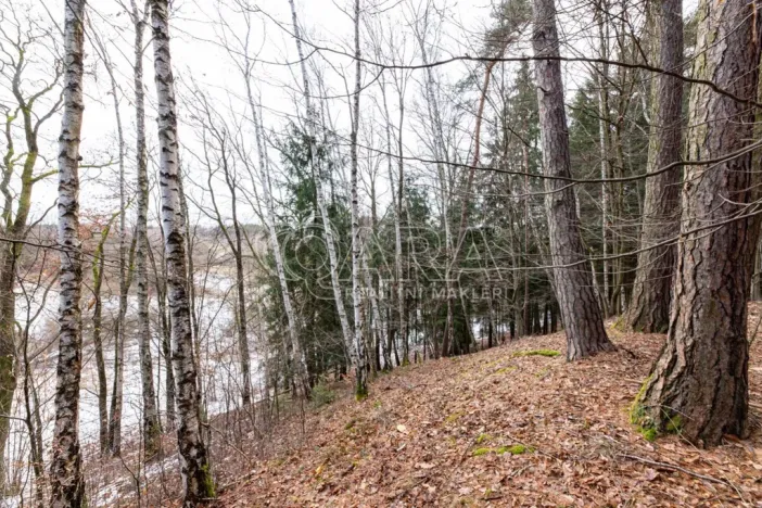 Prodej lesa, Velké Popovice, 19731 m2