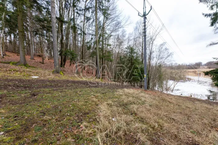 Prodej lesa, Velké Popovice, 19731 m2