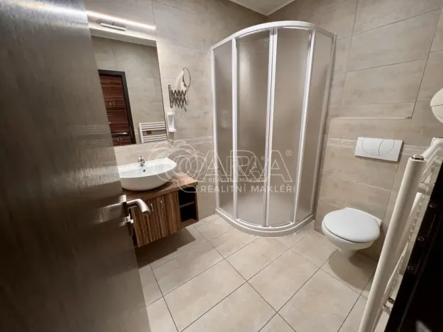 Pronájem bytu 1+kk, Brno, Křivánkovo náměstí, 21 m2