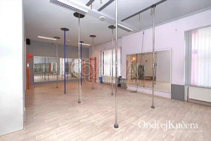 Prodej činžovního domu, Kladno, Osvoboz. pol. vězňů, 1000 m2