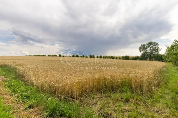 Prodej pozemku pro bydlení, Vražné, 4254 m2