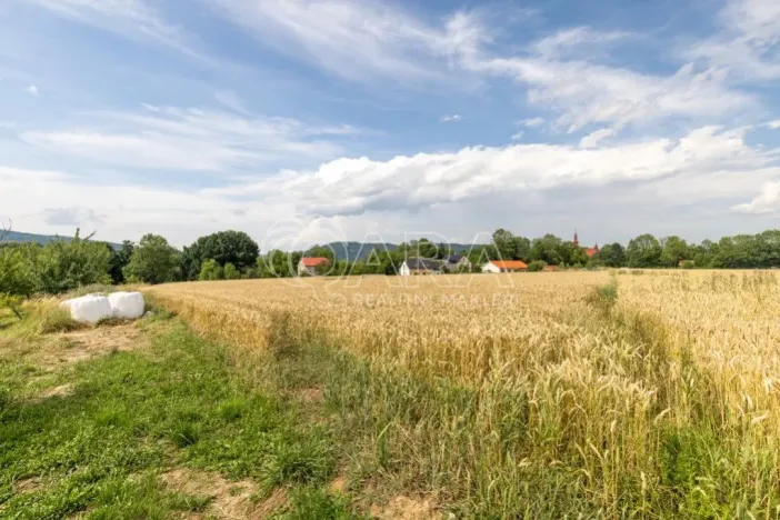Prodej pozemku pro bydlení, Vražné, 4254 m2