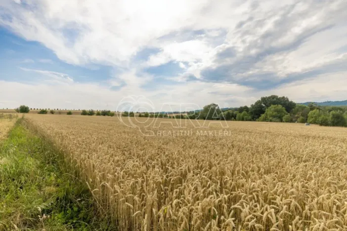 Prodej pozemku pro bydlení, Vražné, 4254 m2