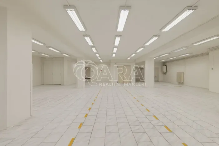 Pronájem obchodního prostoru, Nový Jičín, Masarykovo nám., 500 m2