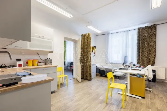 Prodej rodinného domu, Slaný, Vepřkova, 440 m2