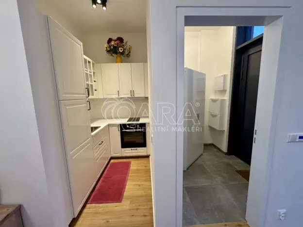 Pronájem bytu 1+kk, Praha - Žižkov, Malešická, 42 m2