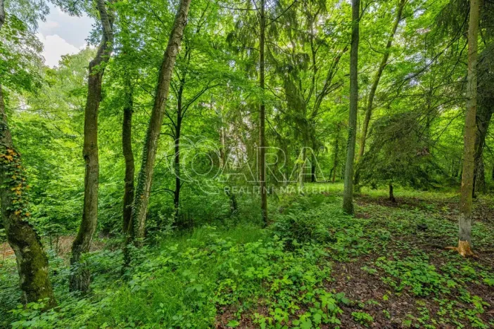 Prodej pozemku pro bydlení, Hrubá Skála, 5519 m2