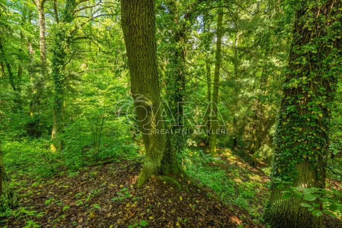 Prodej pozemku pro bydlení, Hrubá Skála, 5519 m2