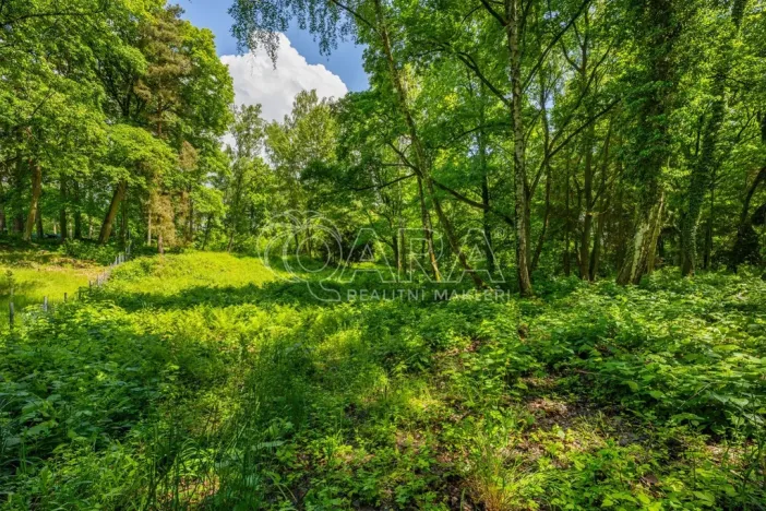 Prodej pozemku pro bydlení, Hrubá Skála, 5519 m2