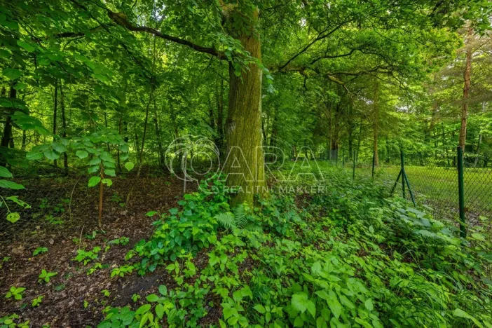 Prodej pozemku pro bydlení, Hrubá Skála, 5519 m2