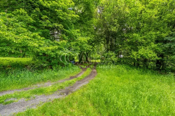 Prodej pozemku pro bydlení, Hrubá Skála, 5519 m2