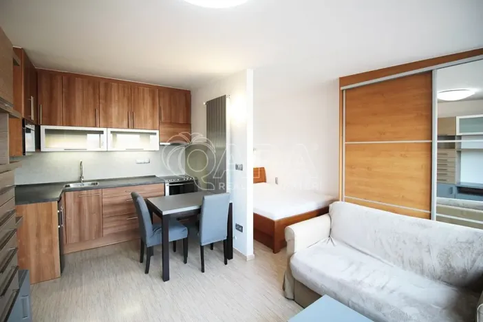 Pronájem bytu 1+kk, Praha - Holešovice, U průhonu, 31 m2