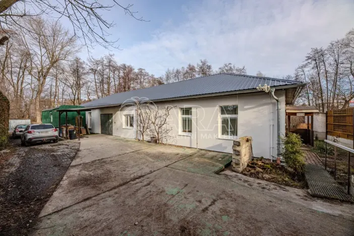 Pronájem obchodního prostoru, Vestec, Vestecká, 252 m2
