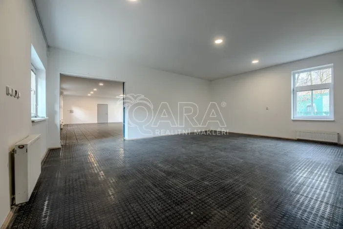 Pronájem obchodního prostoru, Vestec, Vestecká, 252 m2