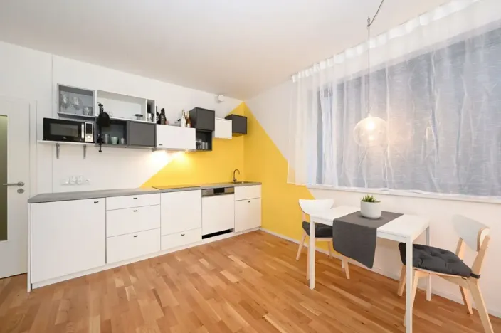 Pronájem bytu 1+kk, Praha - Smíchov, Plzeňská, 43 m2