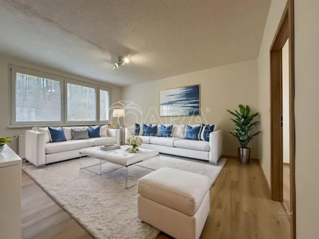 Pronájem bytu 3+1, Paseka, 66 m2