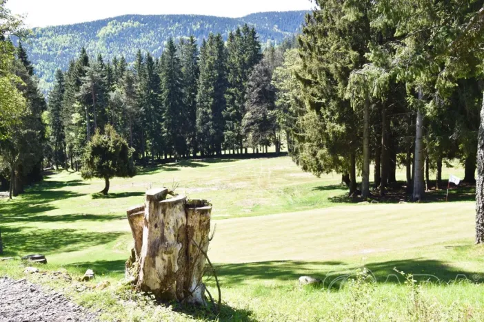 Prodej pozemku pro bydlení, Harrachov - Mýtiny, 17770 m2