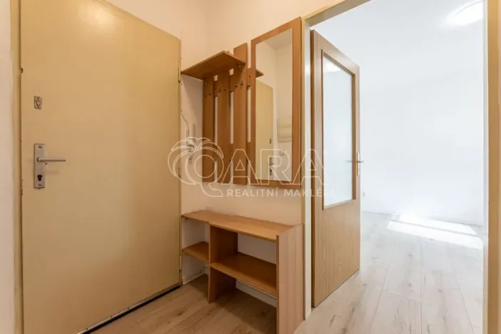 Pronájem bytu 1+kk, Praha - Vinohrady, 24 m2