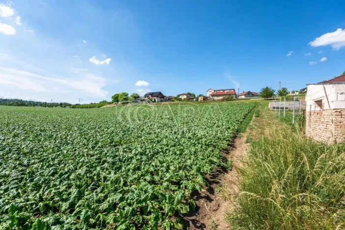 Prodej pozemku pro bydlení, Dobrovice - Úherce, 1050 m2