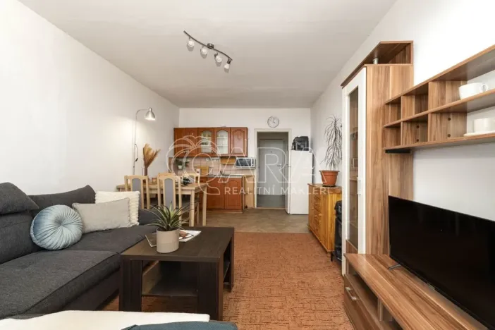 Prodej bytu 1+kk, Ostrava - Moravská Ostrava, Gen. Píky, 27 m2