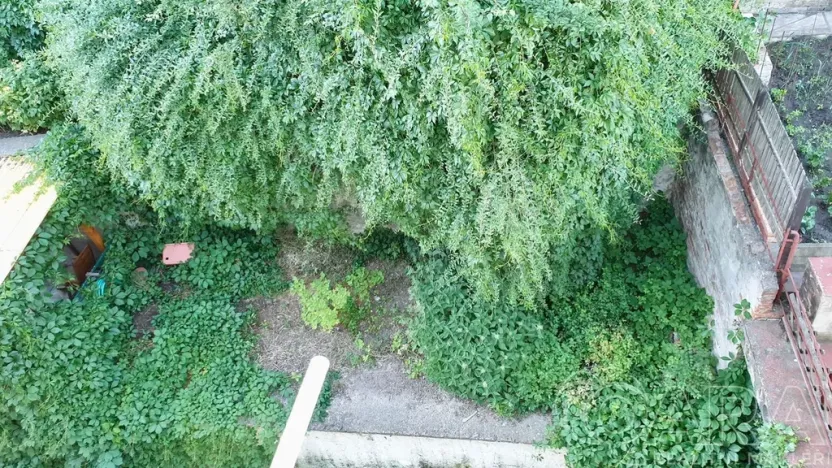 Pronájem bytu 1+kk, Praha - Břevnov, Na Petynce, 15 m2