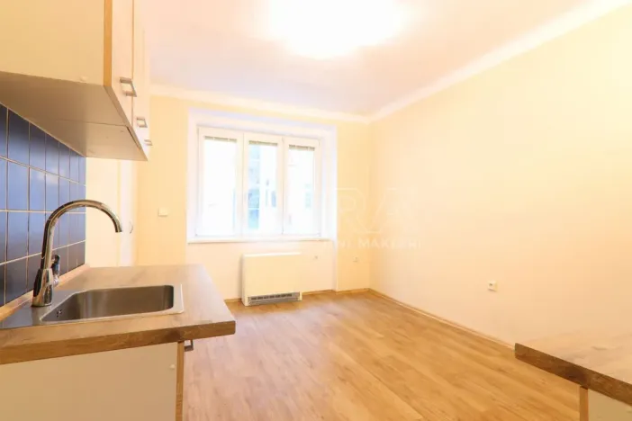 Pronájem bytu 2+kk, Praha - Dejvice, Koulova, 40 m2