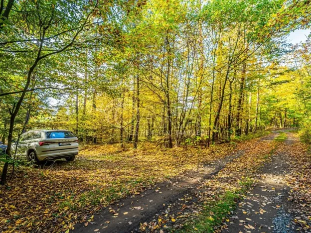 Prodej chaty, Nové Dvory - Krámy, 100 m2