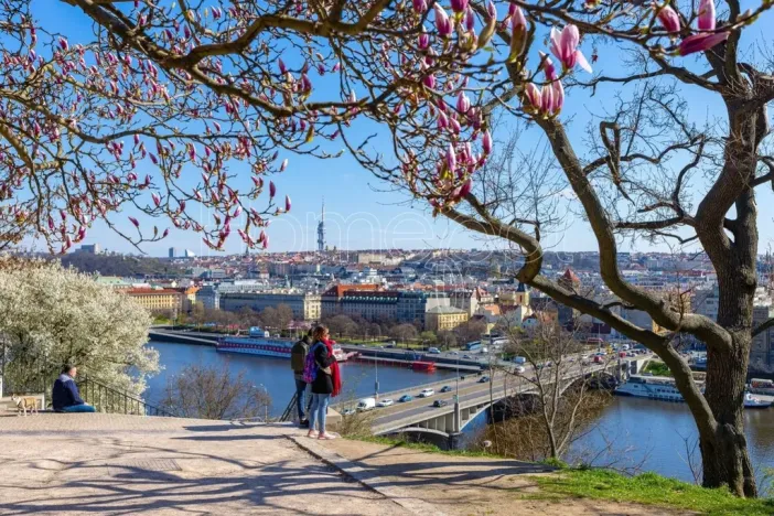 Prodej bytu 1+1, Praha - Holešovice, Jirečkova, 53 m2