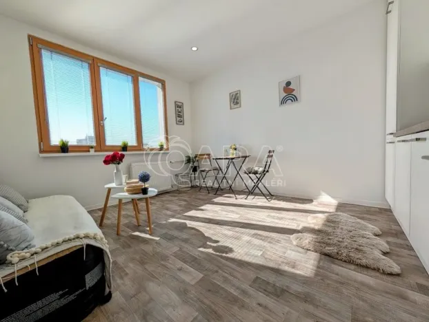 Prodej bytu 1+kk, Plzeň - Doudlevce, Šimerova, 21 m2