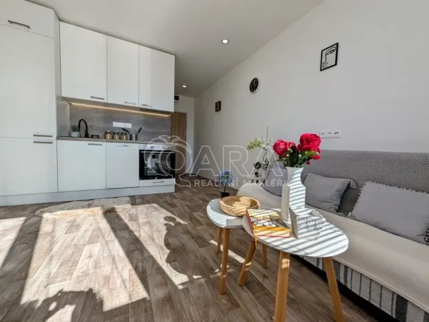 Prodej bytu 1+kk, Plzeň - Doudlevce, Šimerova, 21 m2