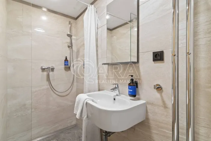 Prodej bytu 2+kk, Praha - Vinohrady, Mánesova, 45 m2