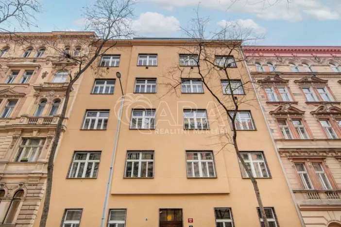 Prodej bytu 2+kk, Praha - Vinohrady, Mánesova, 45 m2