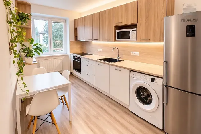 Pronájem bytu 2+1, Brno, Renneská třída, 56 m2