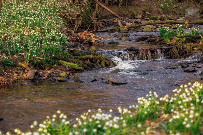 Prodej chaty, Skorotice, 48 m2