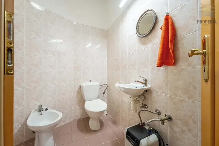 Prodej bytu 4+kk, Brno, Mojžíšova, 171 m2