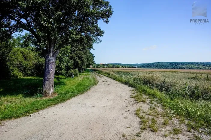 Prodej pozemku pro bydlení, Viničné Šumice, 1156 m2