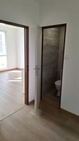 Pronájem bytu 1+kk, Plzeň, Sokolovská, 30 m2