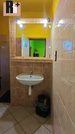 Prodej ubytování, Ostrava, Šamanova, 173 m2