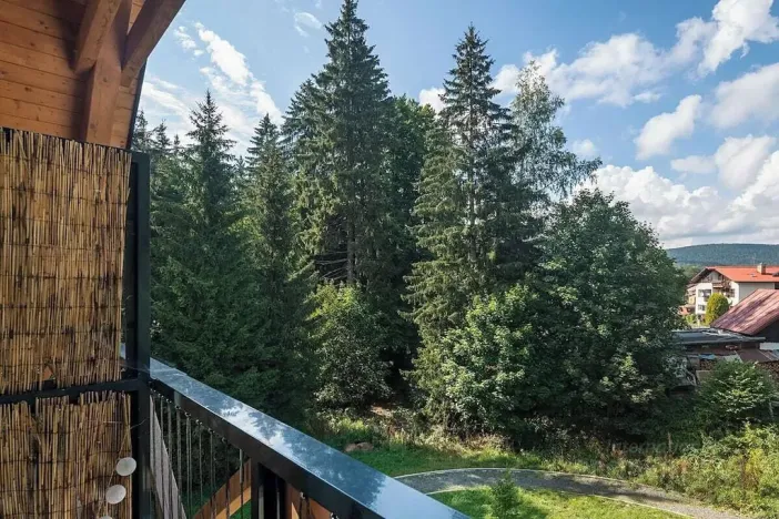 Prodej bytu 1+kk, Harrachov, 39 m2