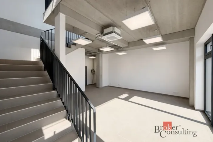 Pronájem výrobních prostor, Brno, Vinohradská, 444 m2